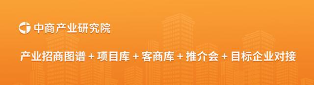 2024年中国智能电网行业市场前景预测研究报告(图19)