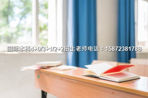 2024电子科大国际班点击咨询正规办学!(图4)