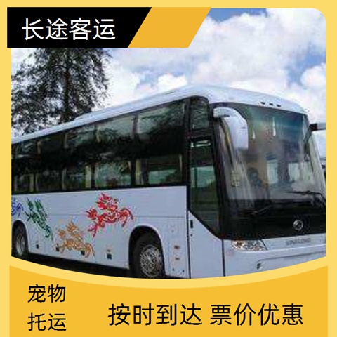 实时热点：太原到许昌大巴车大巴汽车实时反馈全+境+到+达(图1)