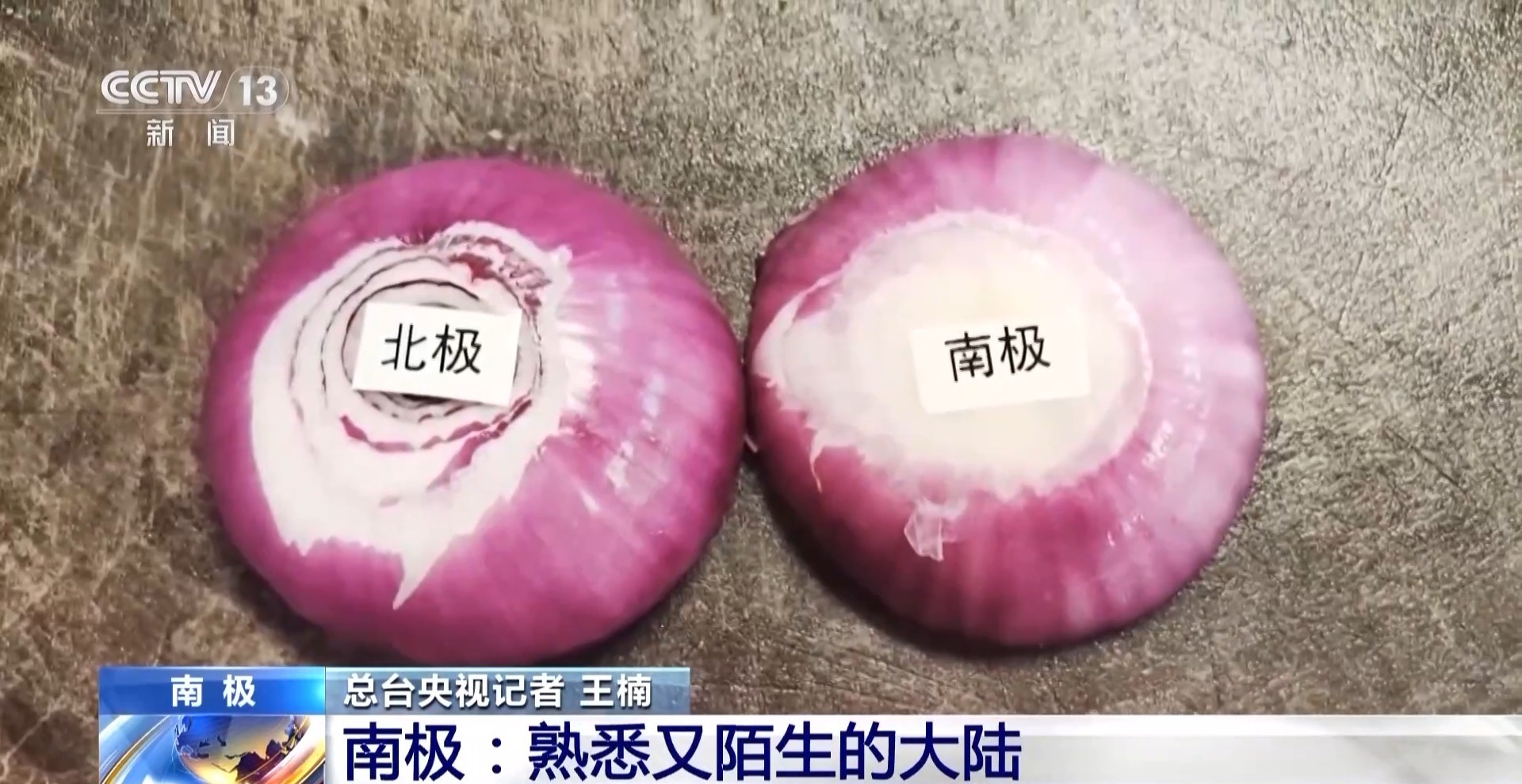 南极北极哪个更冷？去秦岭站了解极地的秘密(图10)