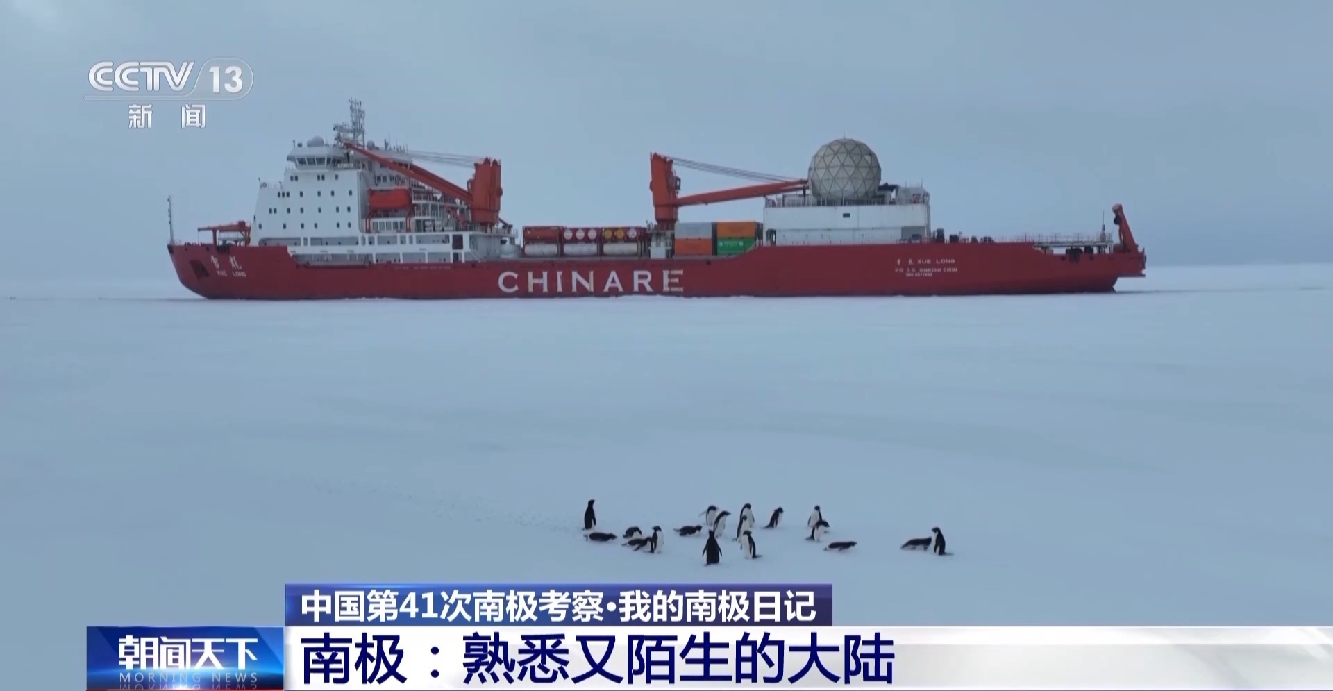 南极北极哪个更冷？去秦岭站了解极地的秘密(图14)