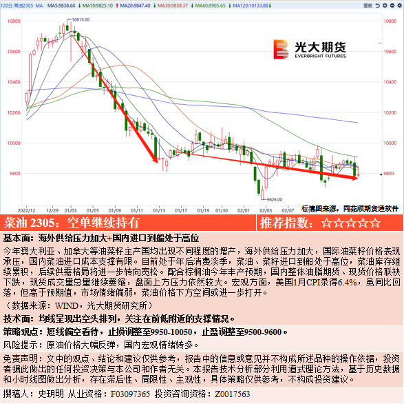 屏幕欧美私人家庭影院的艺术与科技(图1)